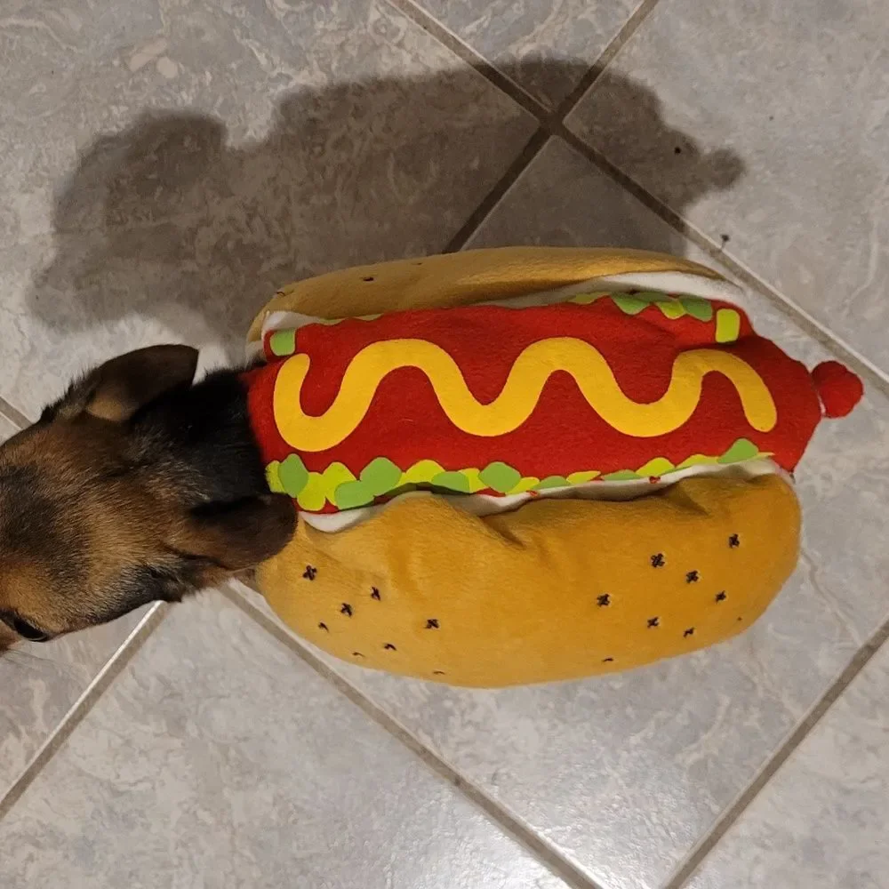 Padded Hot Dog Pet Costume Ketchup Mustard Relish Detail Halloween Size XS